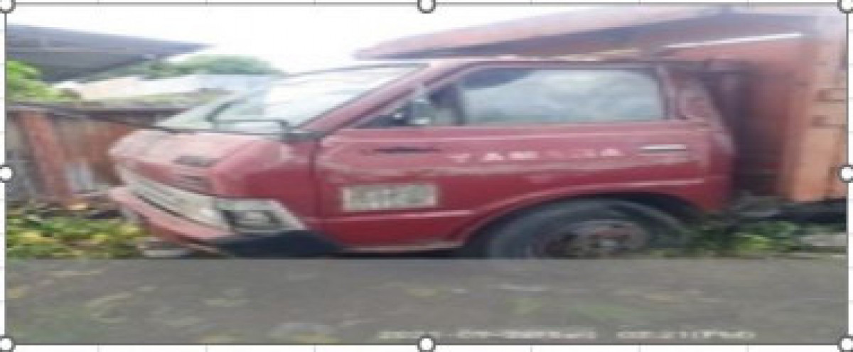 TOYOTA DYNA