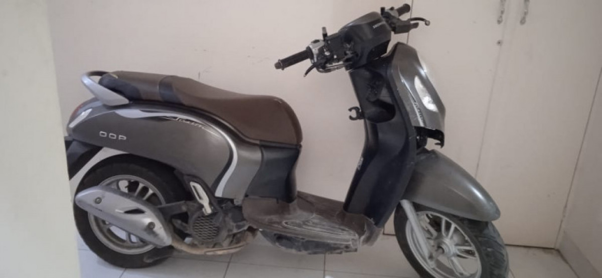 HONDA SCOOPY STYLISH