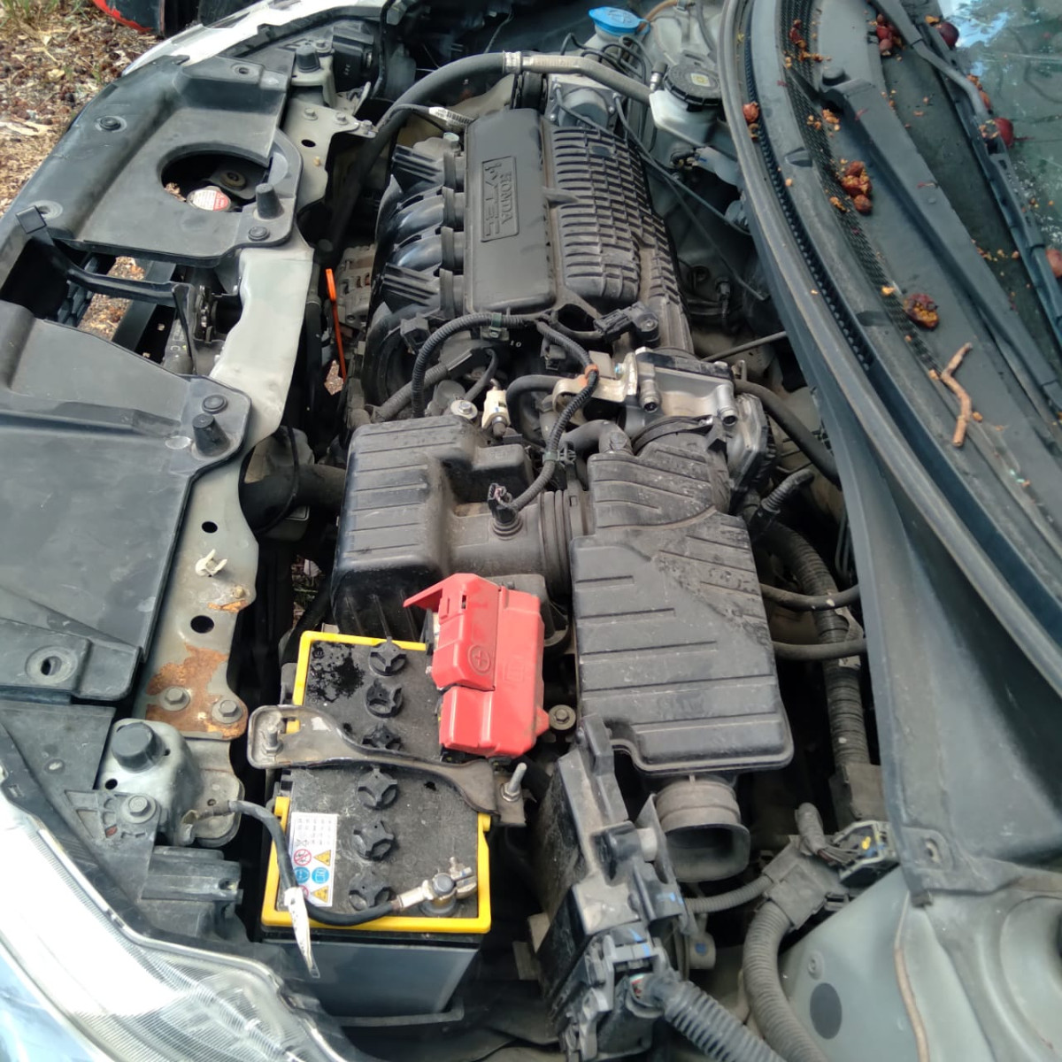 HONDA BRIO
