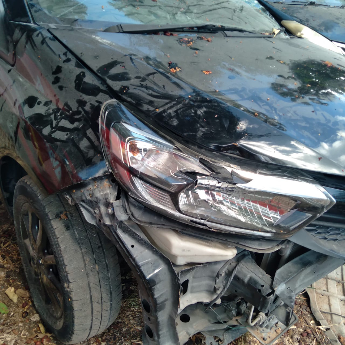 HONDA BRIO