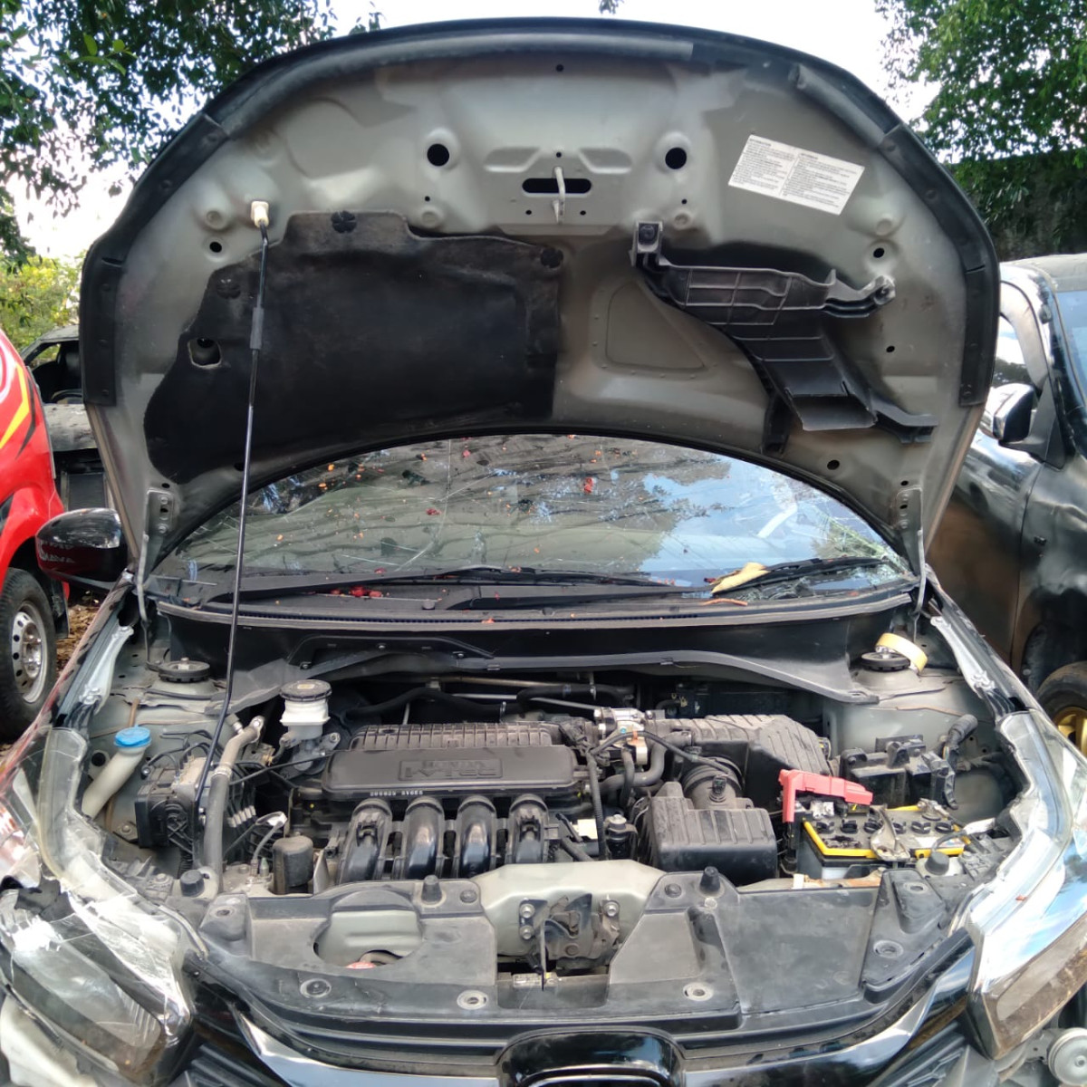 HONDA BRIO