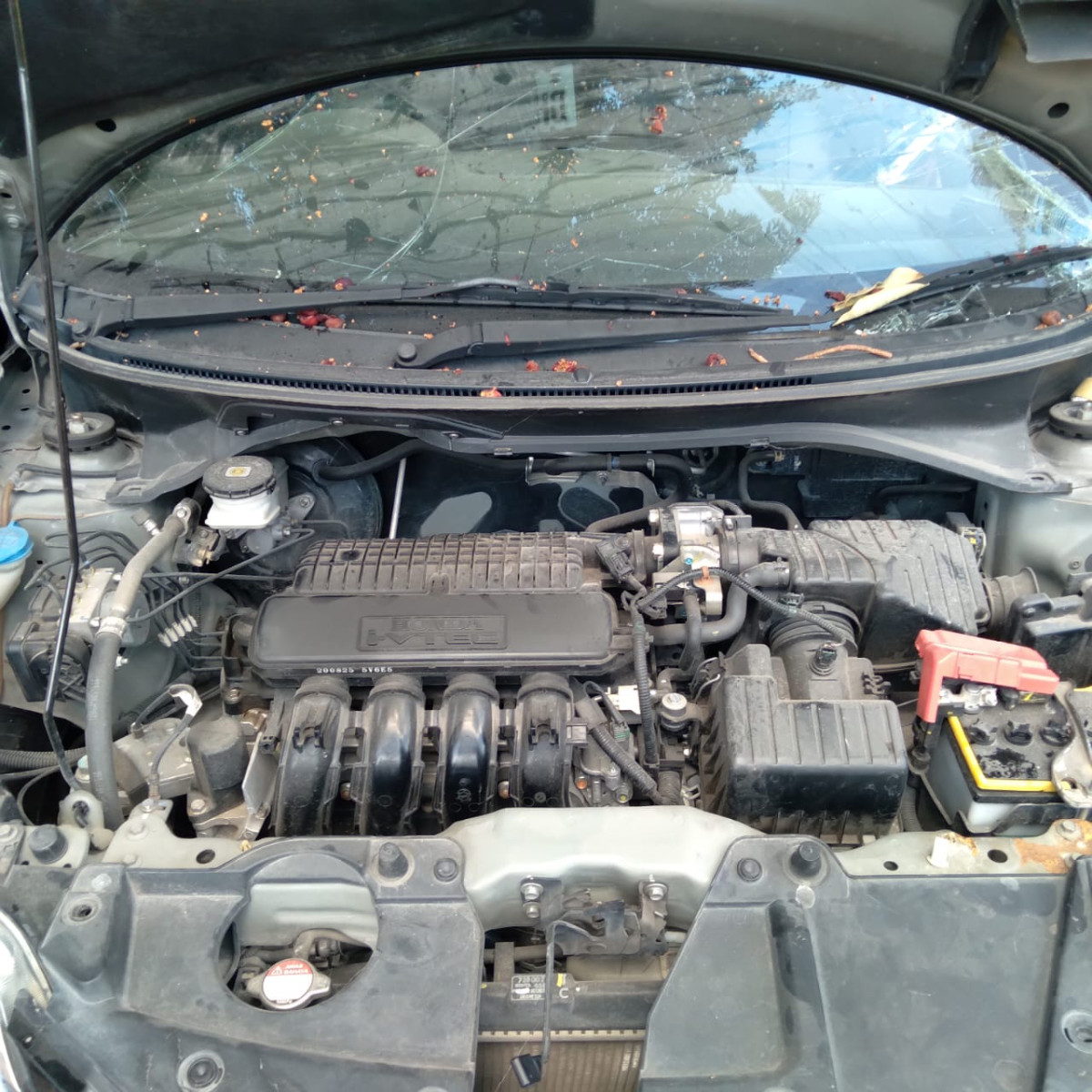 HONDA BRIO