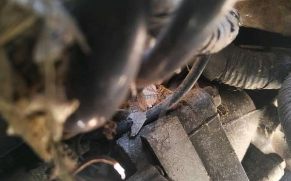 FORD FIESTA1.6L AT S