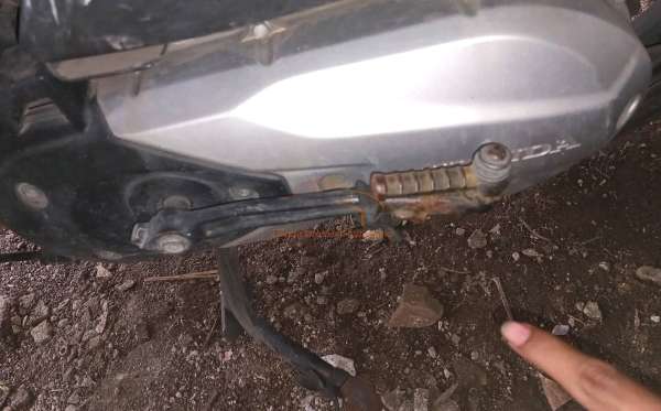 HONDA GENIO