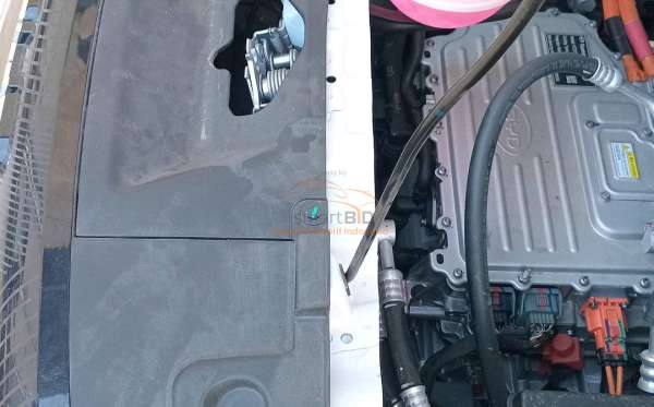 BYD DOLPHIN PREMIUM (4X2)