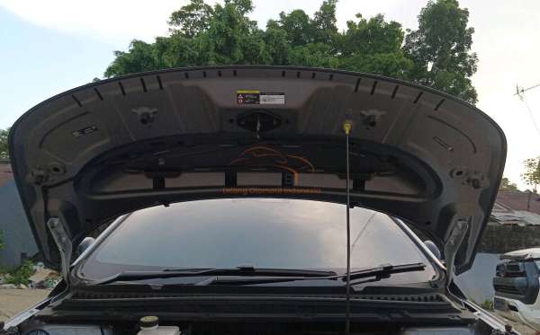 BYD DOLPHIN PREMIUM (4X2)