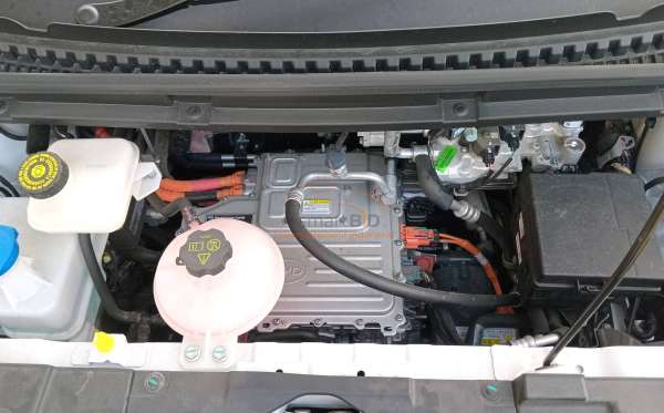 BYD DOLPHIN PREMIUM (4X2)