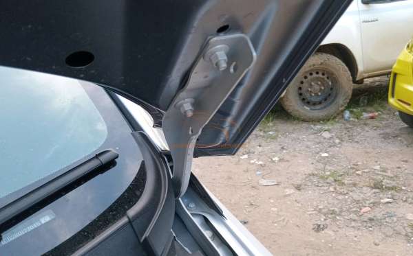 BYD DOLPHIN PREMIUM (4X2)