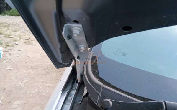 BYD DOLPHIN PREMIUM (4X2)