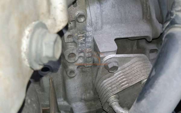 TOYOTA  ALPHARD  SC25L 2WD A/T