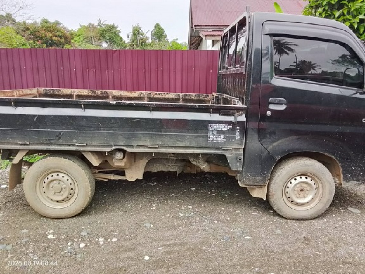 SUZUKI CARRY PU
