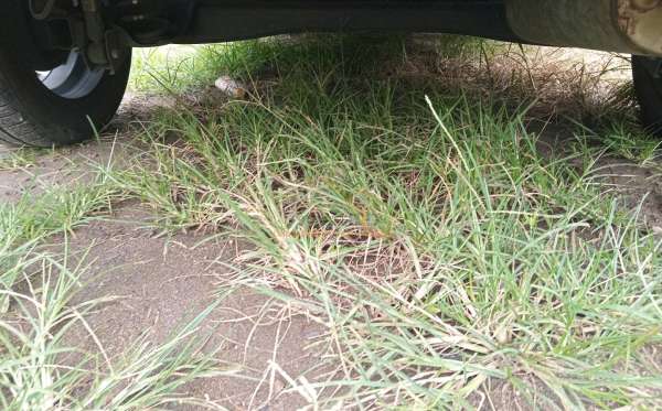 HYUNDAI STARGAZER STYLE AT