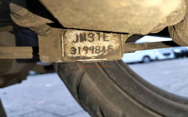 HONDA SCOOPY STYLISH