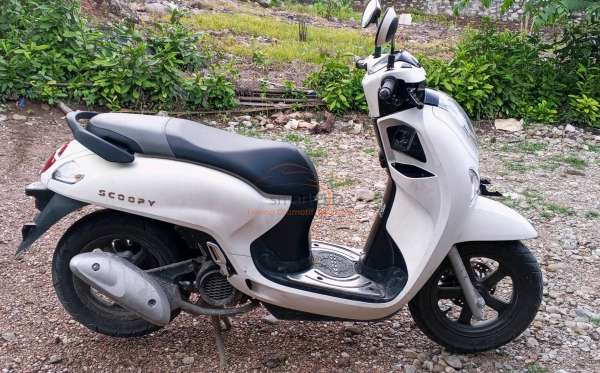 HONDA SCOOPY PRESTIGE
