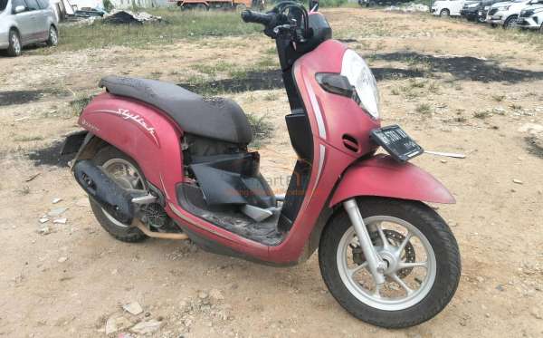 HONDA SCOOPY STYLISH