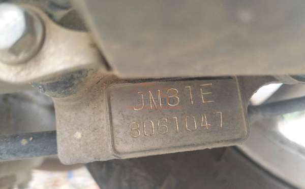 HONDA SCOOPY STYLISH