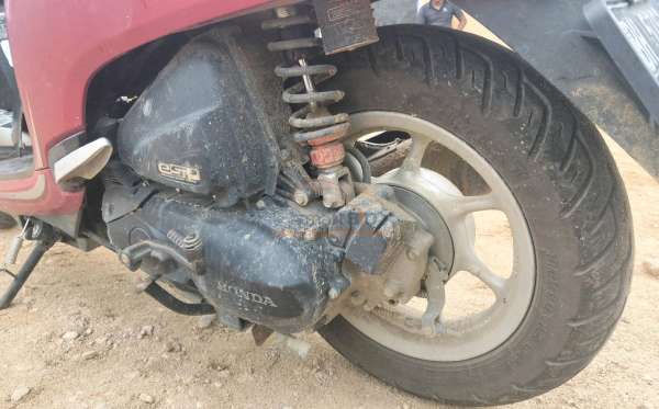 HONDA SCOOPY STYLISH