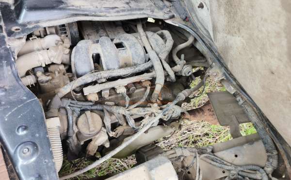 DAIHATSU  GRAN MAX  PICK-UP