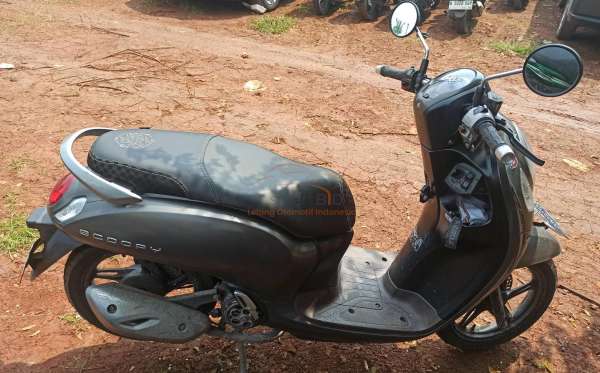 HONDA SCOOPY CW