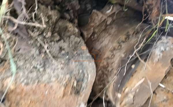 CATERPILLAR EXCAVATOR