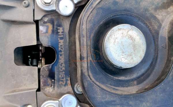 HONDA SCOOPY STYLISH