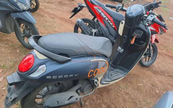 HONDA SCOOPY CW