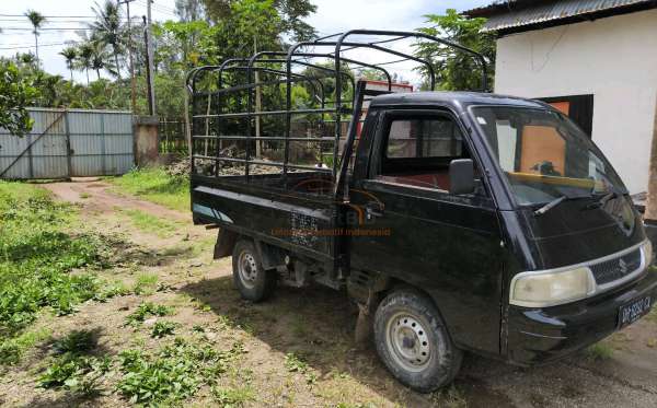 SUZUKI  CARRY  PU