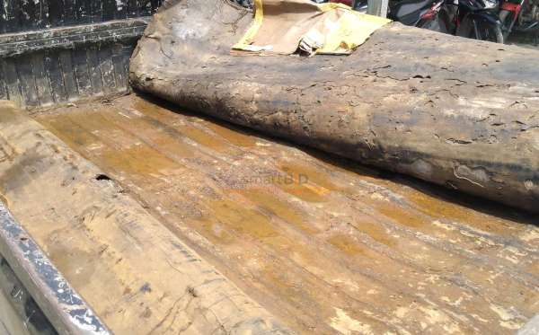 SUZUKI MEGA CARRY PU