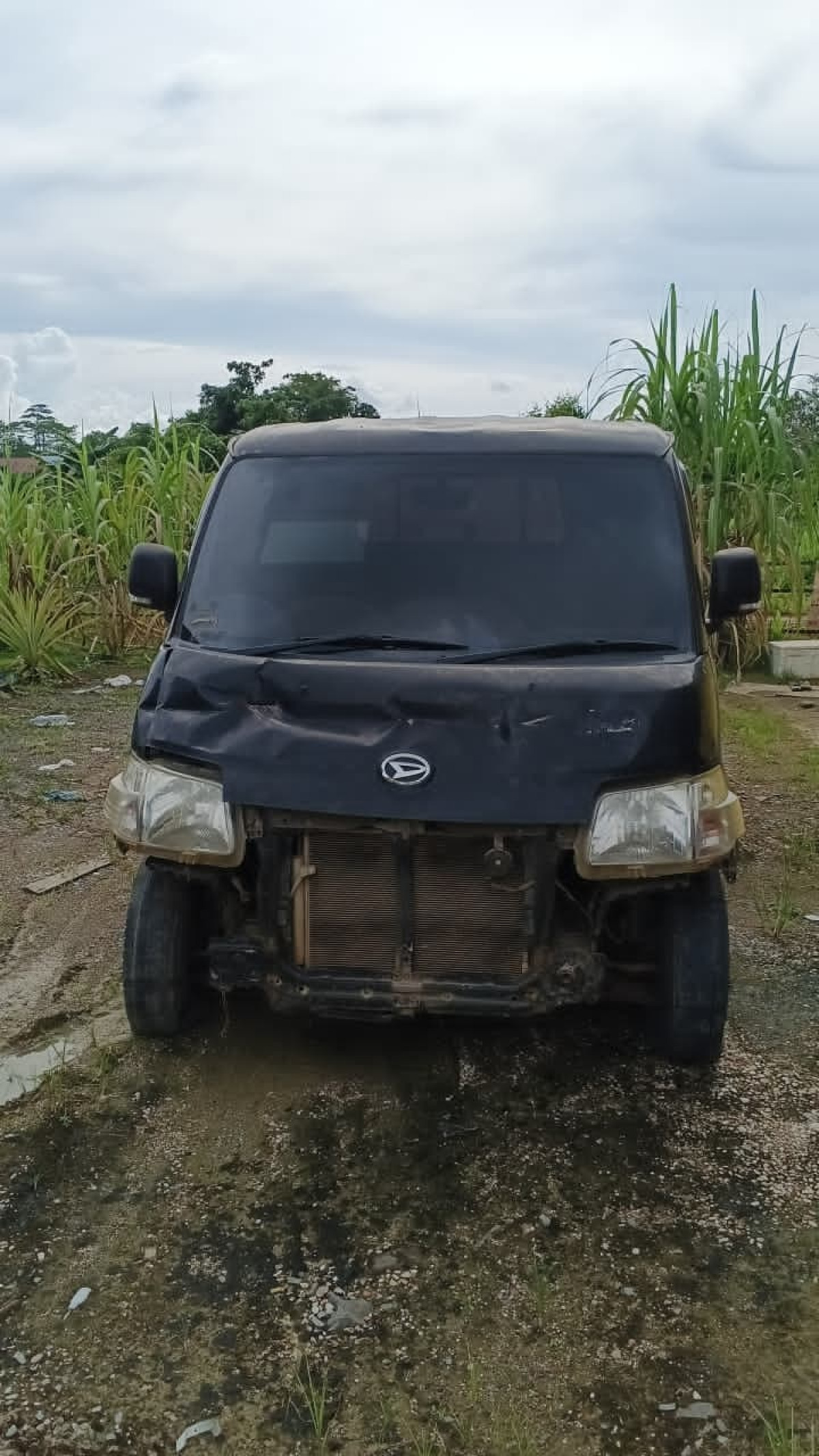 DAIHATSU  GRAN MAX  PICK-UP