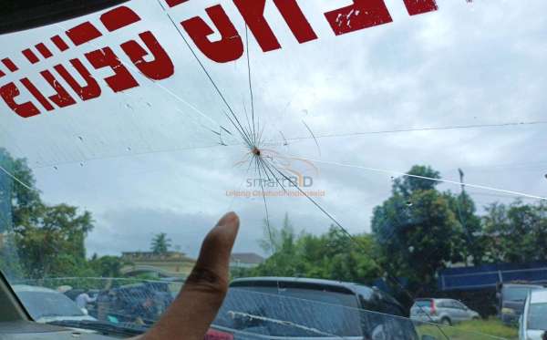 SUZUKI MEGA CARRY PU