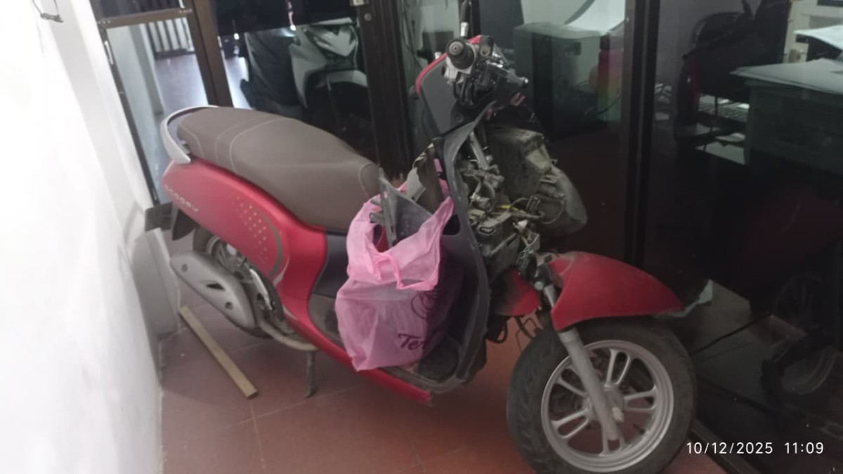 HONDA SCOOPY STYLISH