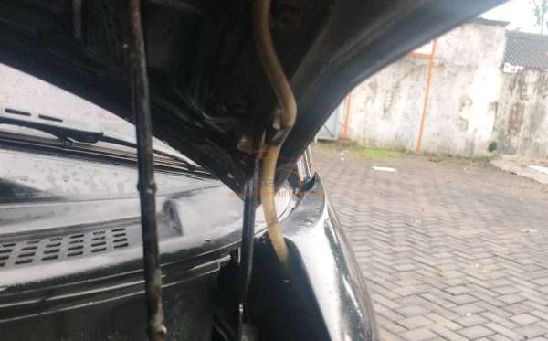 DAIHATSU  GRAN MAX  PICK-UP