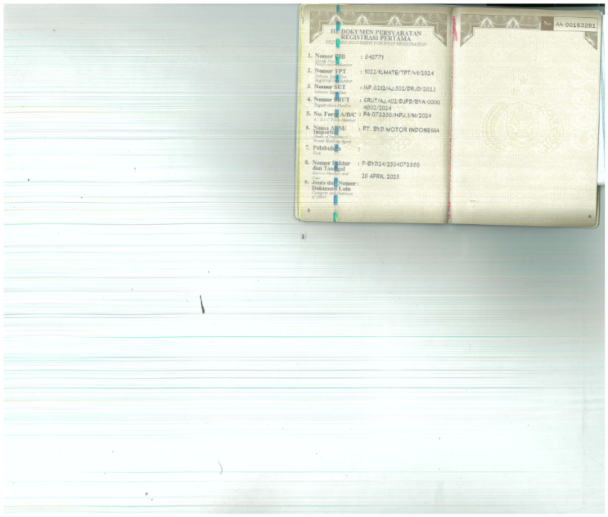 BYD DOLPHIN PREMIUM (4X2)