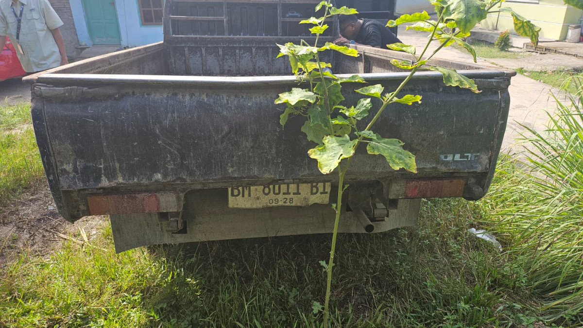 MITSUBISHI L 300  PU