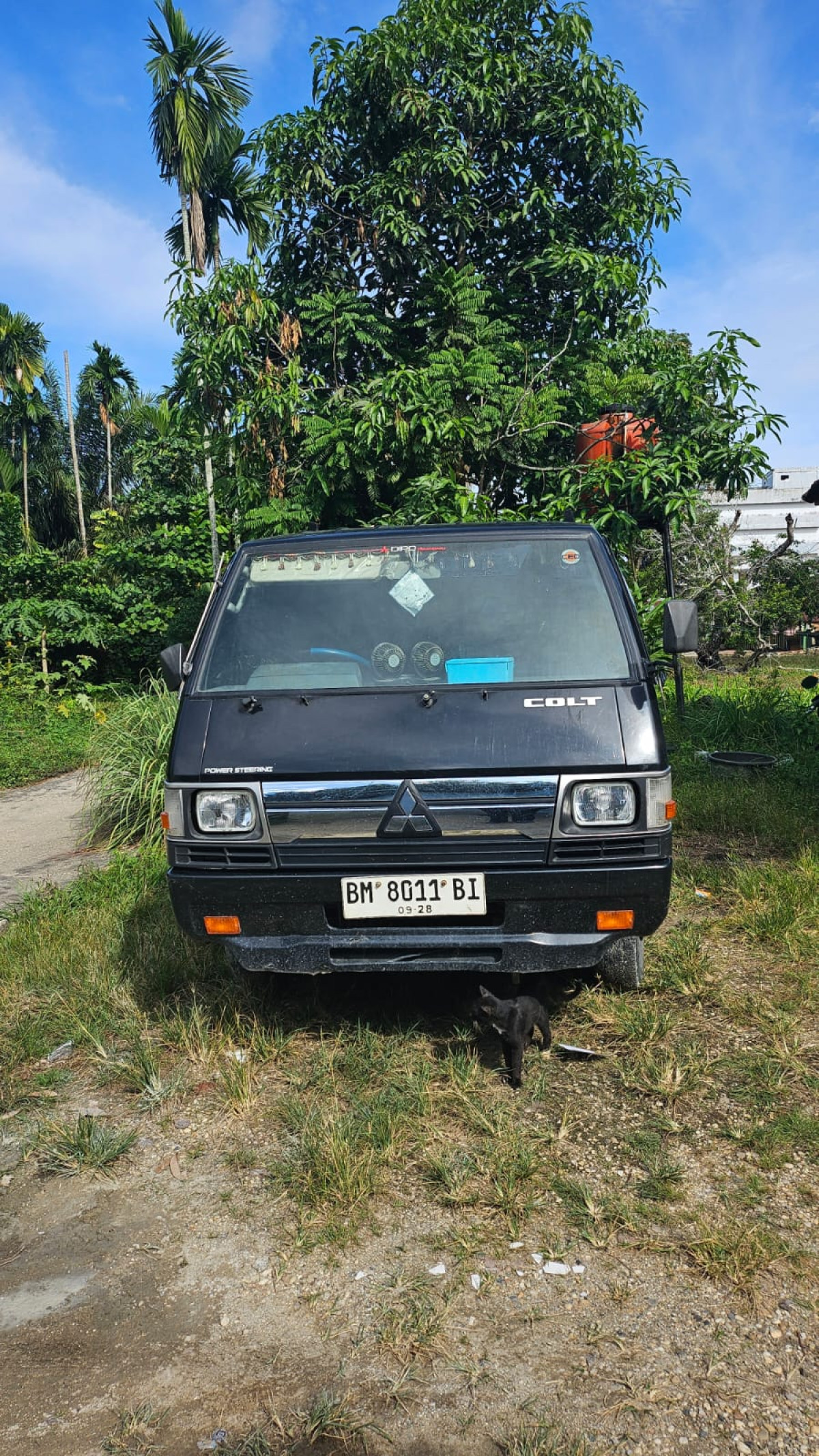 MITSUBISHI L 300  PU