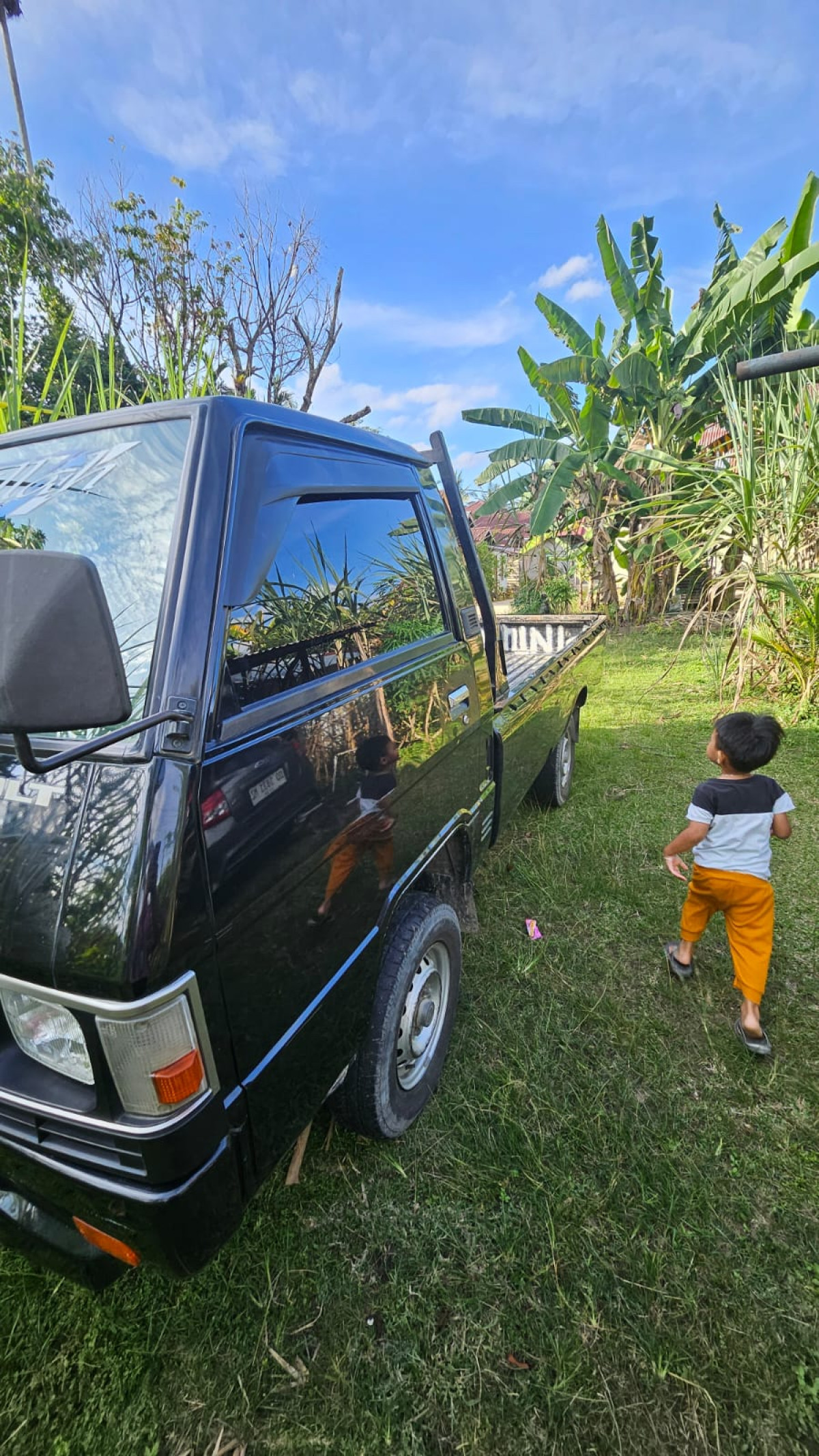 MITSUBISHI  L 300 L300 PU FB-R (4X2)