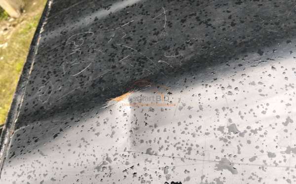 DAIHATSU  GRAN MAX  PICK-UP