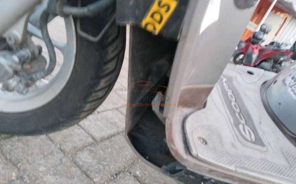 HONDA SCOOPY