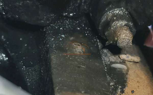 MAZDA (4X4) 2.5 (WLT) LOW