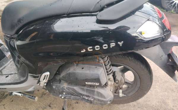 HONDA  SCOOPY