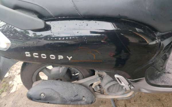HONDA  SCOOPY