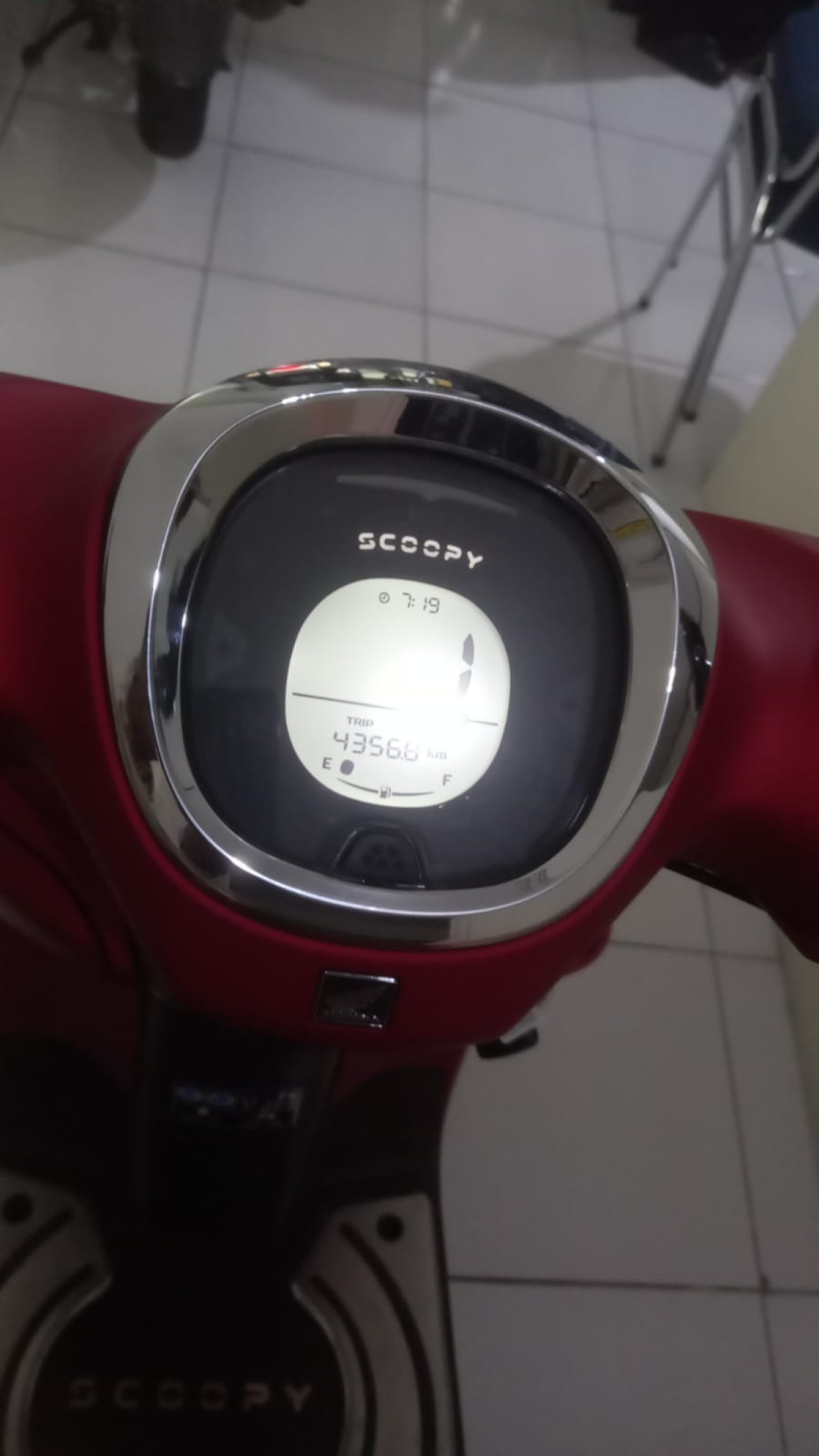 HONDA SCOOPY STYLISH