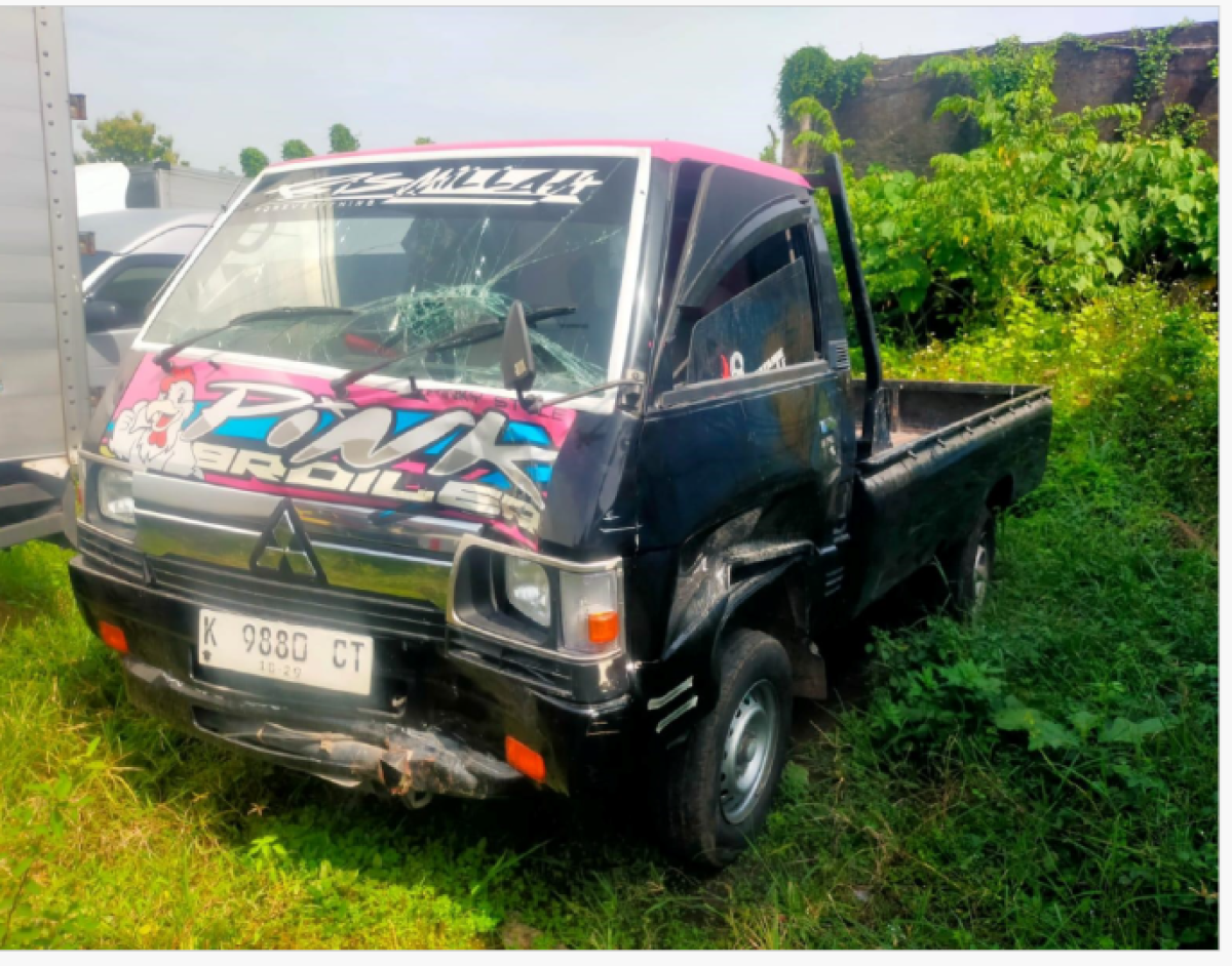 MITSUBISHI L 300 L 300 PU