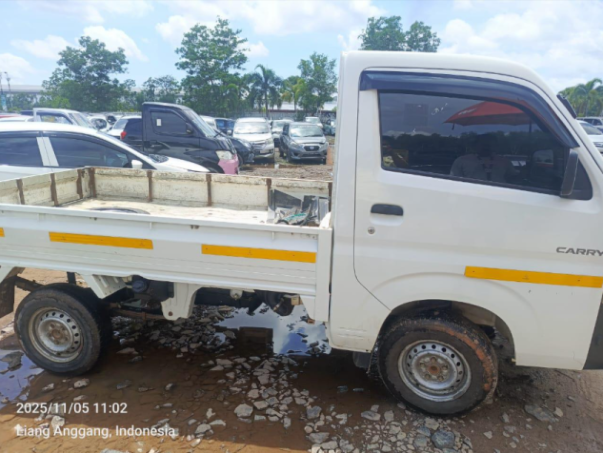 SUZUKI CARRY CARRY PU