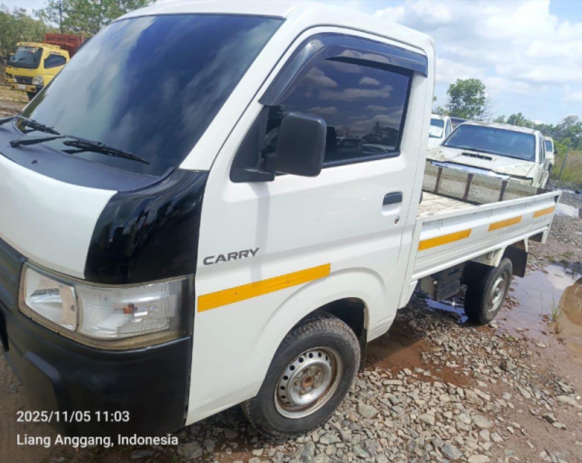 SUZUKI CARRY CARRY PU
