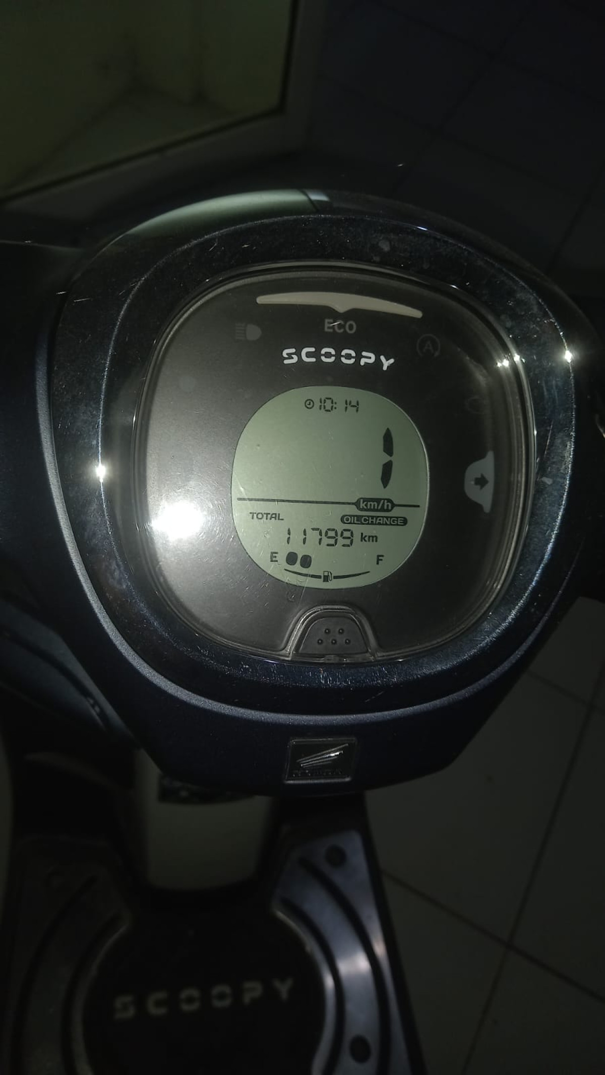 HONDA SCOOPY SPORTY