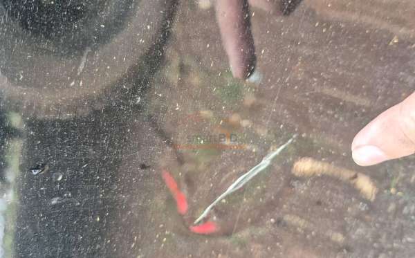 MERCEDES BENZ C 200 CGI