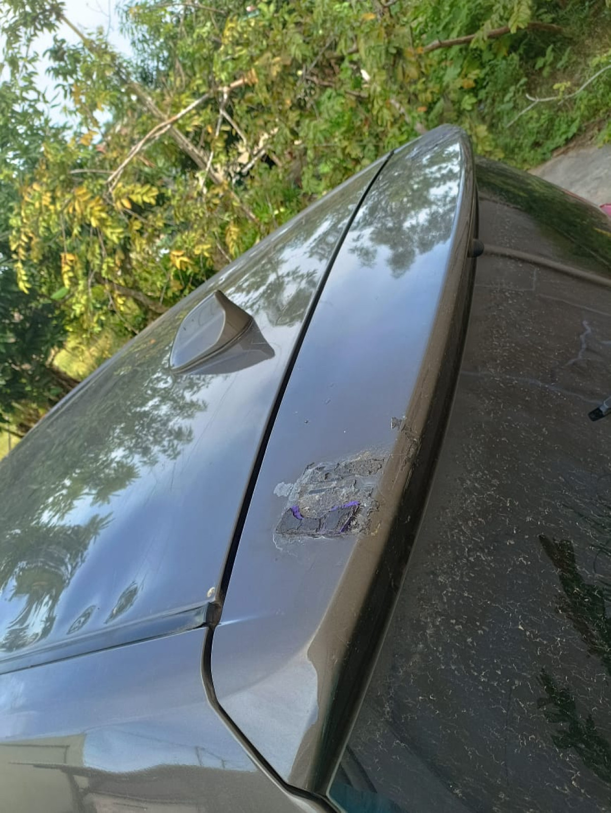 TOYOTA  CALYA  1.2 G M/T