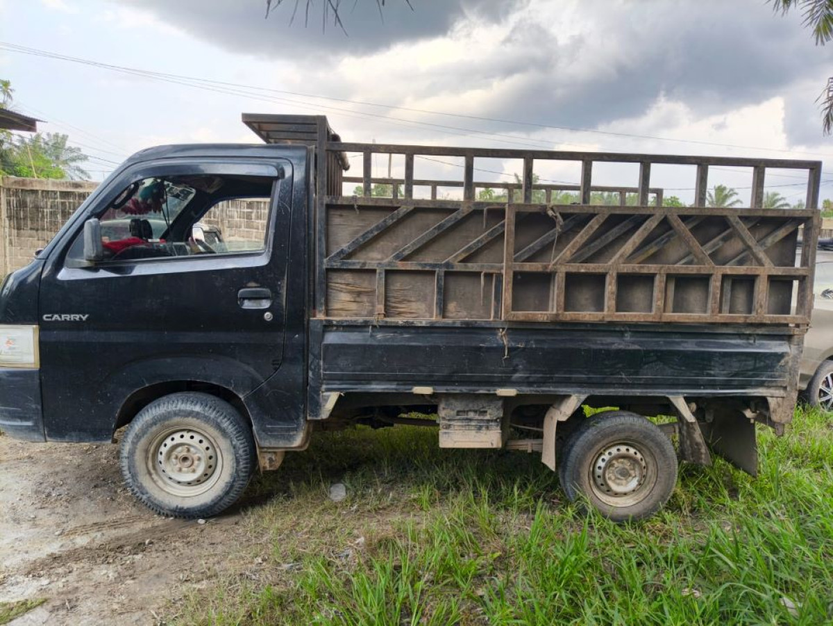 SUZUKI  CARRY  1.5 CL PU