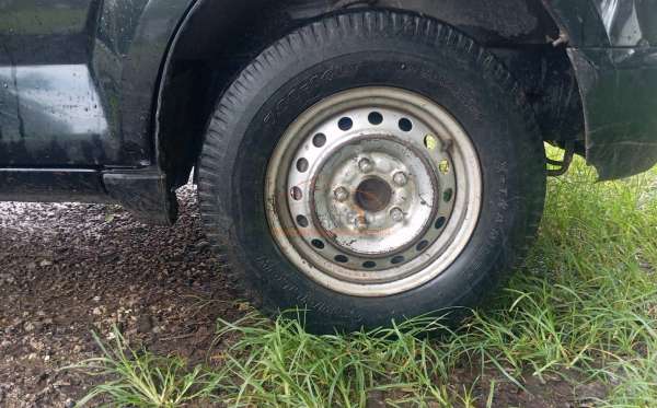 SUZUKI MEGA CARRY PU